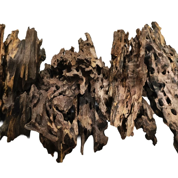 Korzeń Dragon Wood Smoczy Korzeń S 15-20cm Dekoracja Akwarium Hardscape