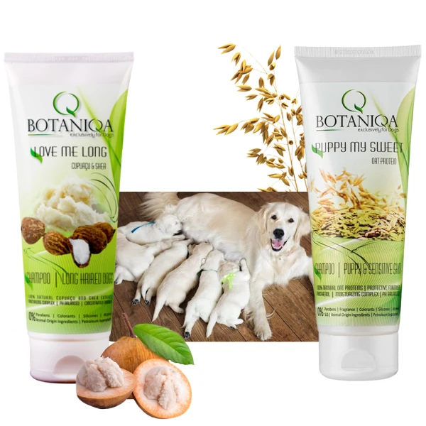 BOTANIQA SZAMPON + ODŻYWKA dla szczeniąt 2x250ml