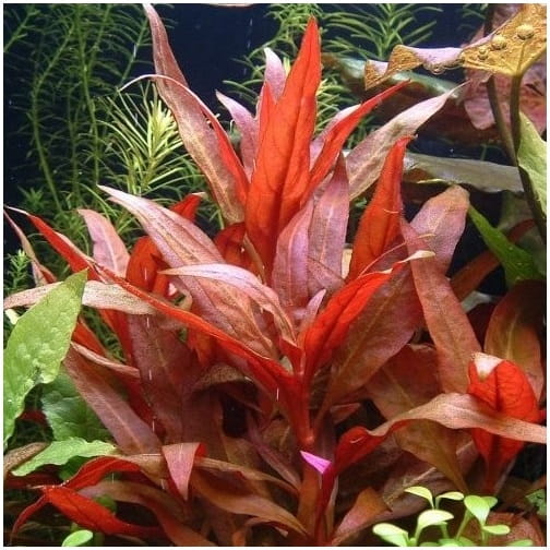 4487bec40e72e39c0e001ae8a5bb79ce