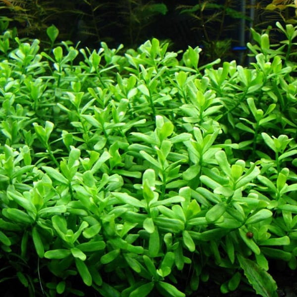 971758c13b8d0f6f1d709b4551fc67ed