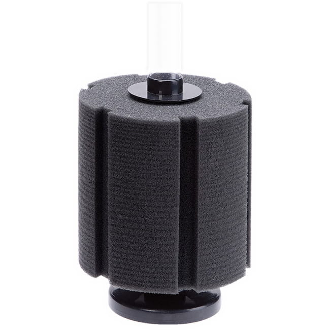 a8164eafcf33eaba98c0944d86285ca6