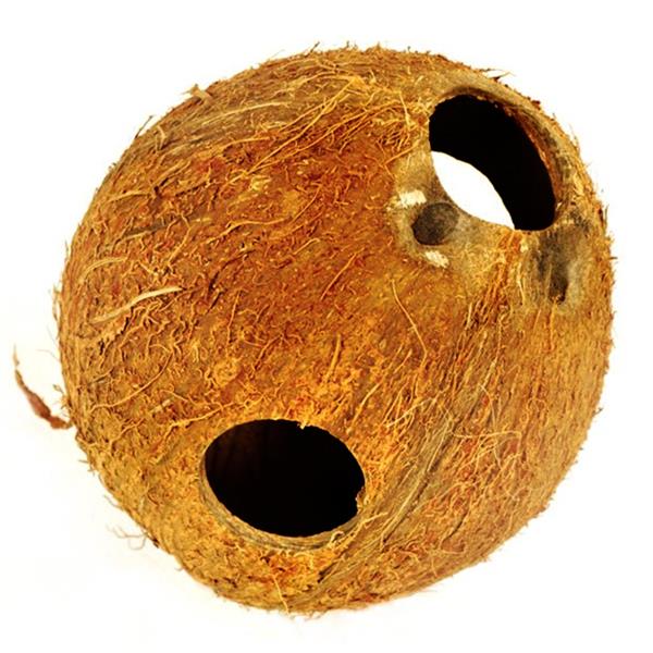 kokos_cały_nieszczotkowany.jpg