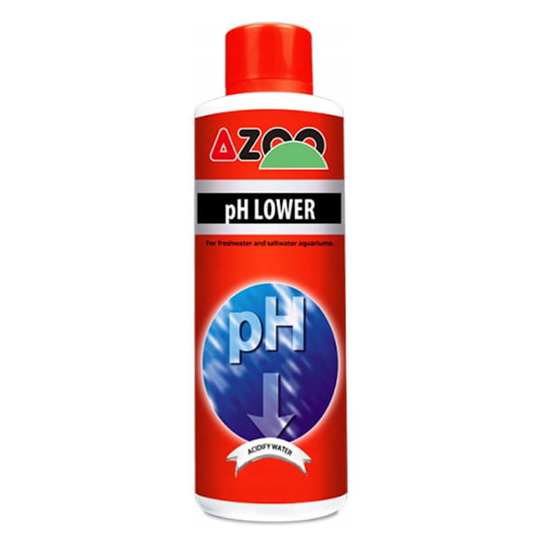 AZOO-PHLOWER.jpg