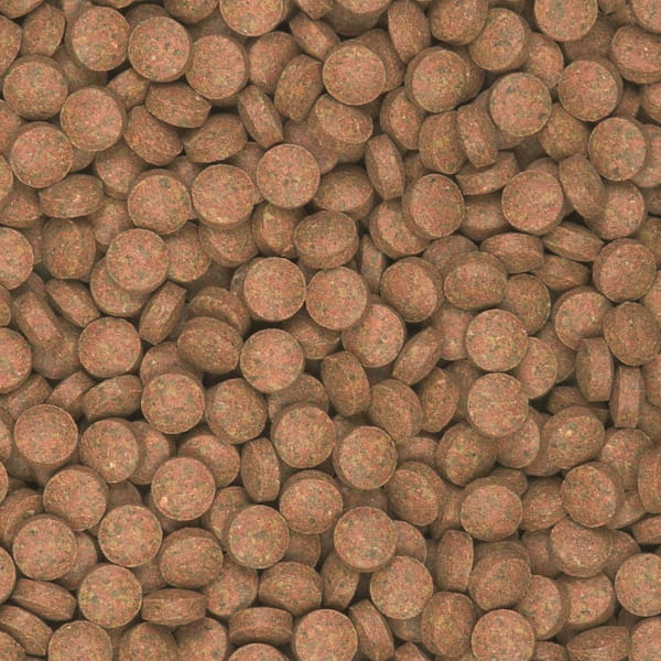 Tablets_B_uzupełnienie.jpg