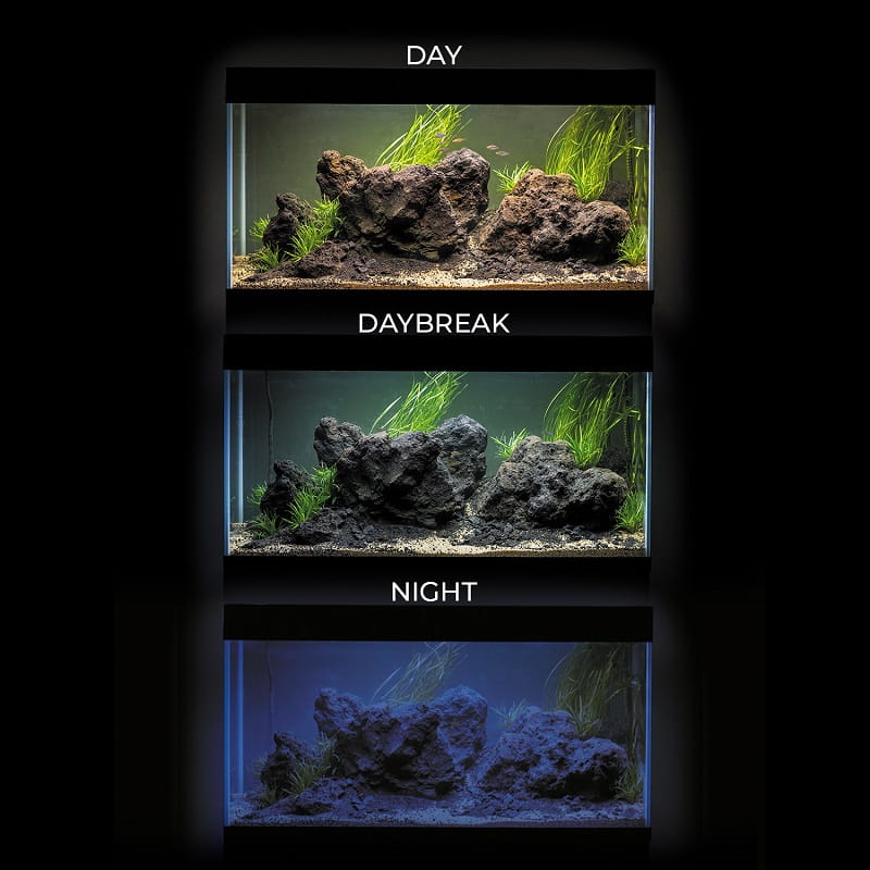 123428_UltraScape_60_forest_11_LTDN_lighting_modes.jpg
