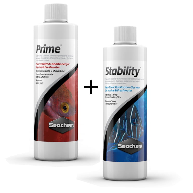 stability_prime.jpg