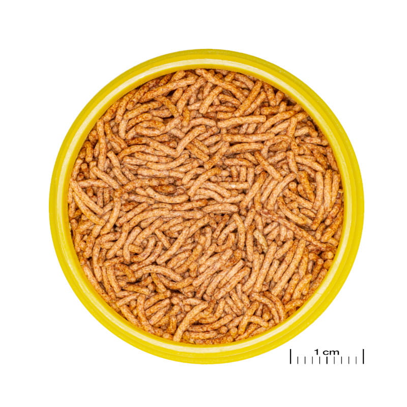 jbl2.jpg