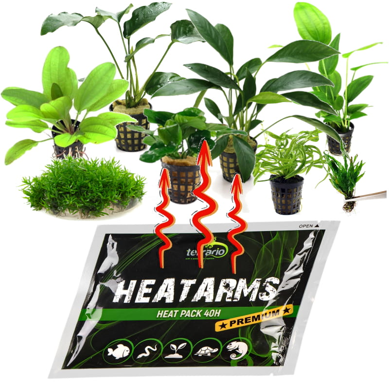heatpack.jpg