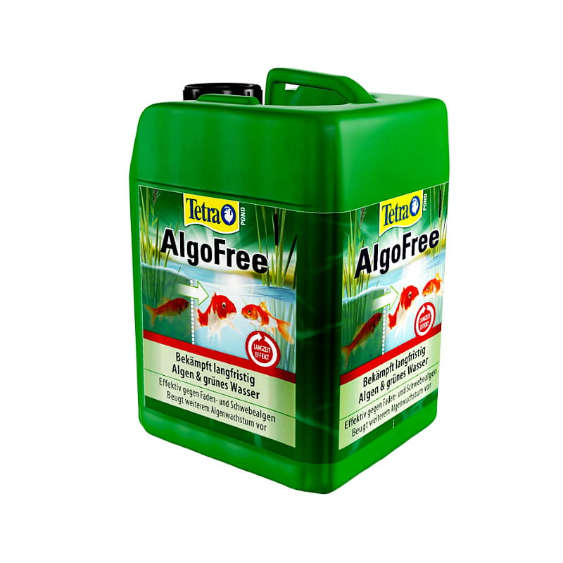 algofreee.jpg