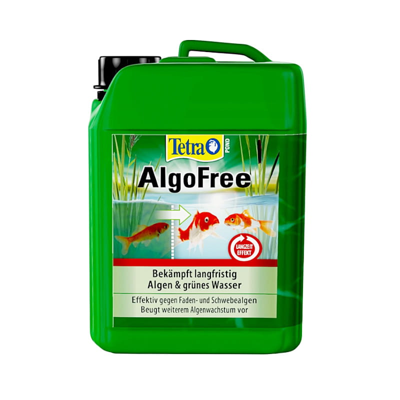 algofreeee.jpg