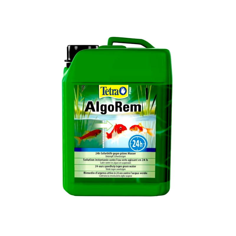 algoremmm.jpg