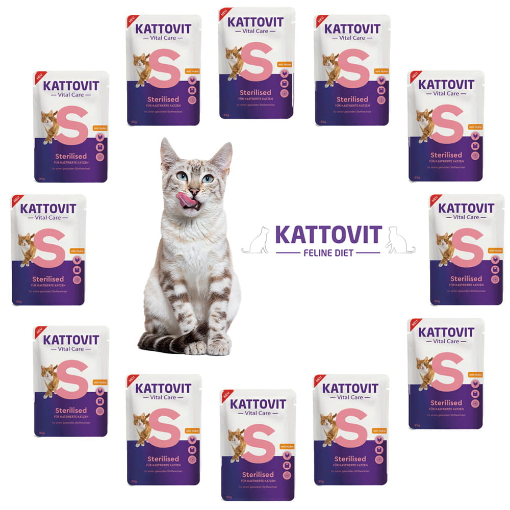 kattovit.jpg