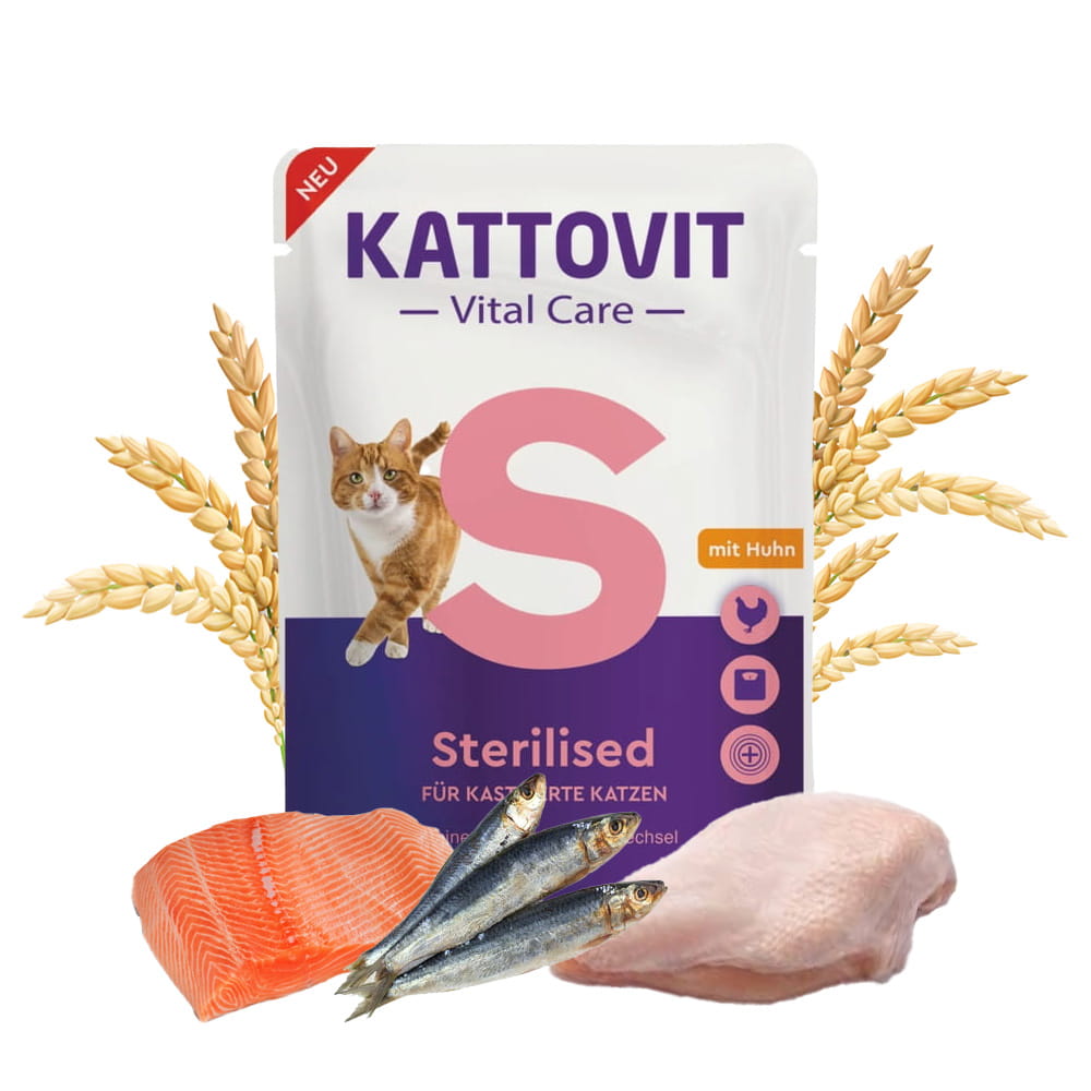 s1.jpg
