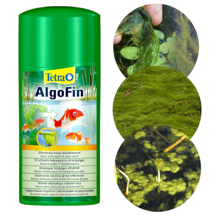 tetra_algofin_pond.jpg