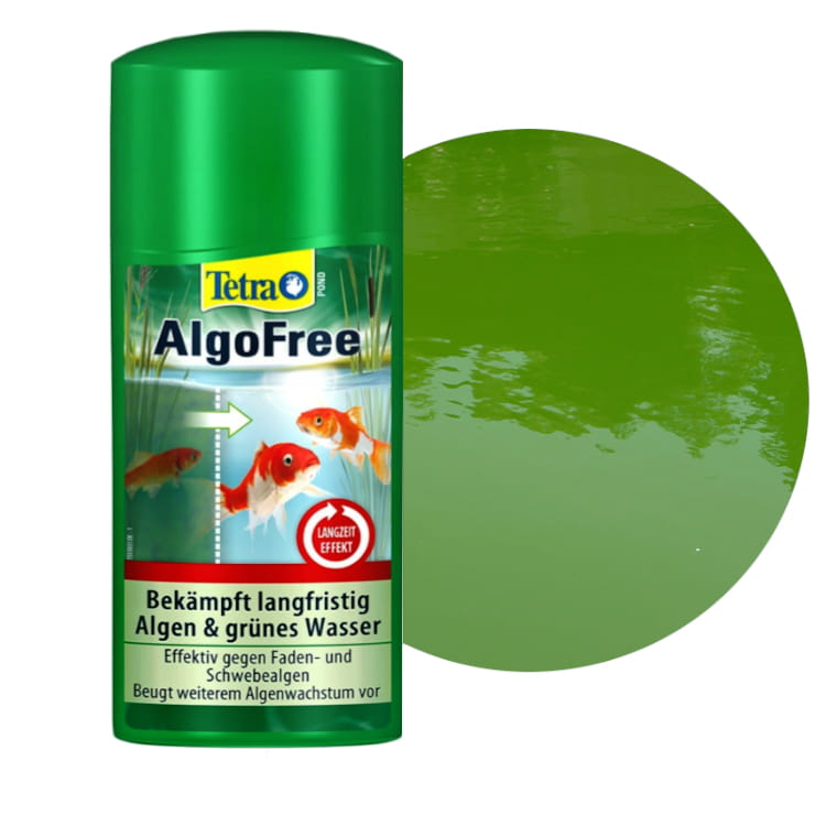 algofree.jpg