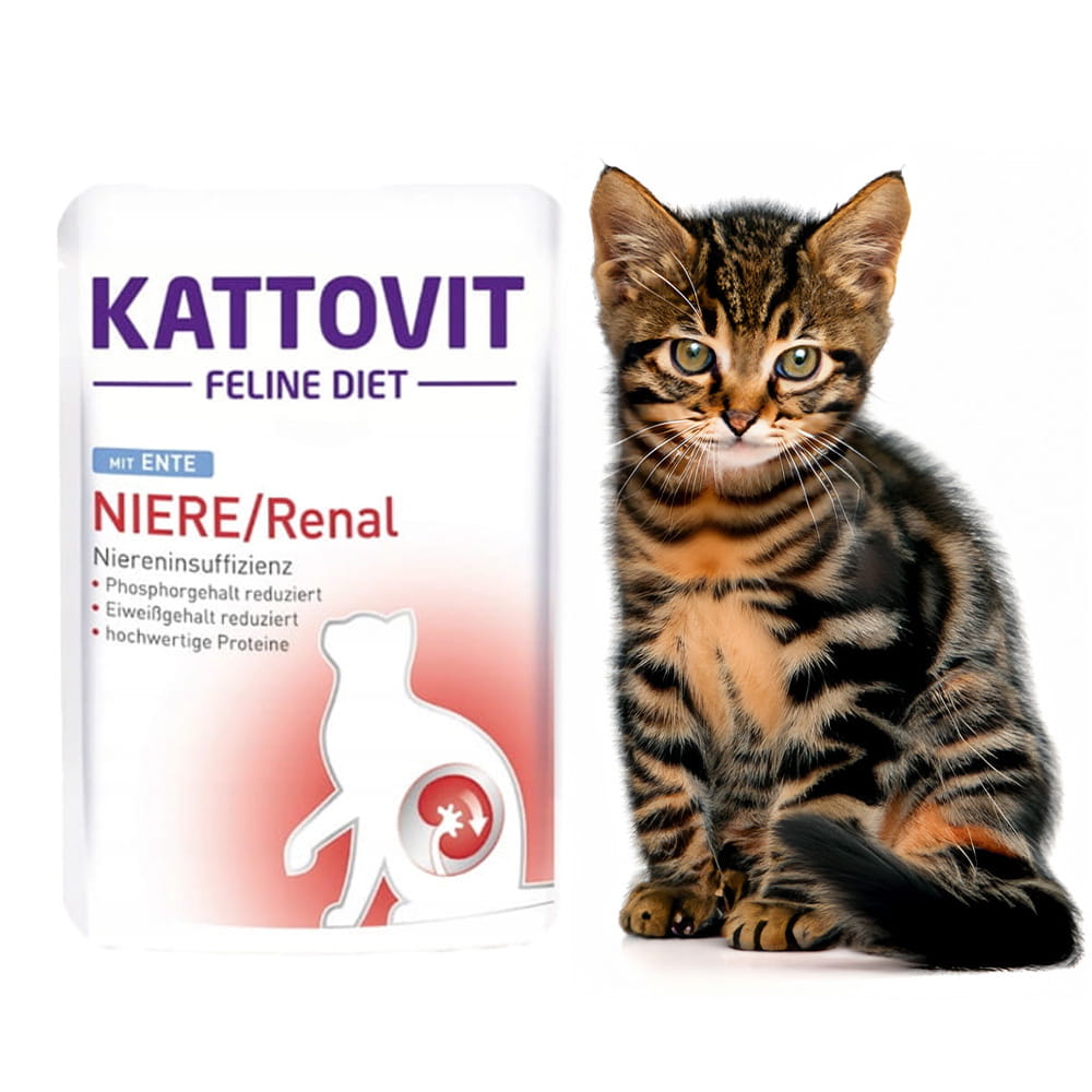 renal2.jpg