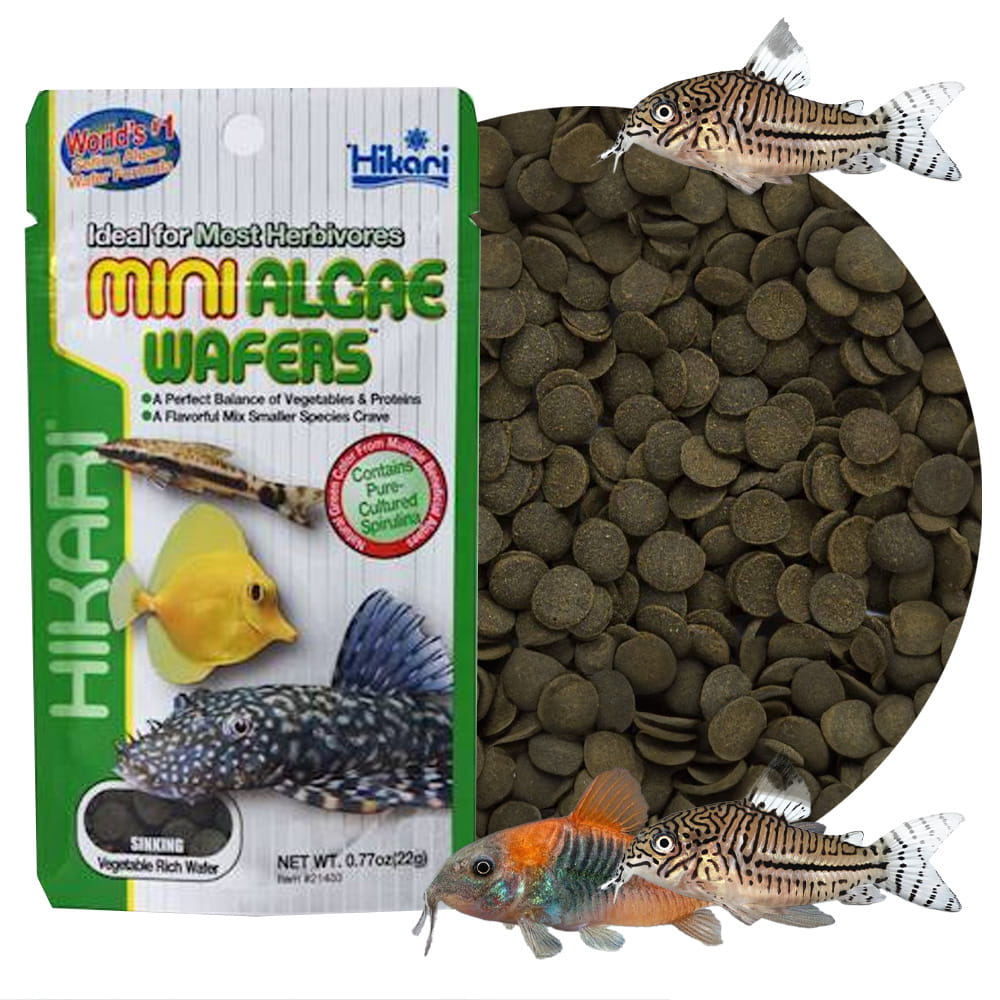 ssss.jpg