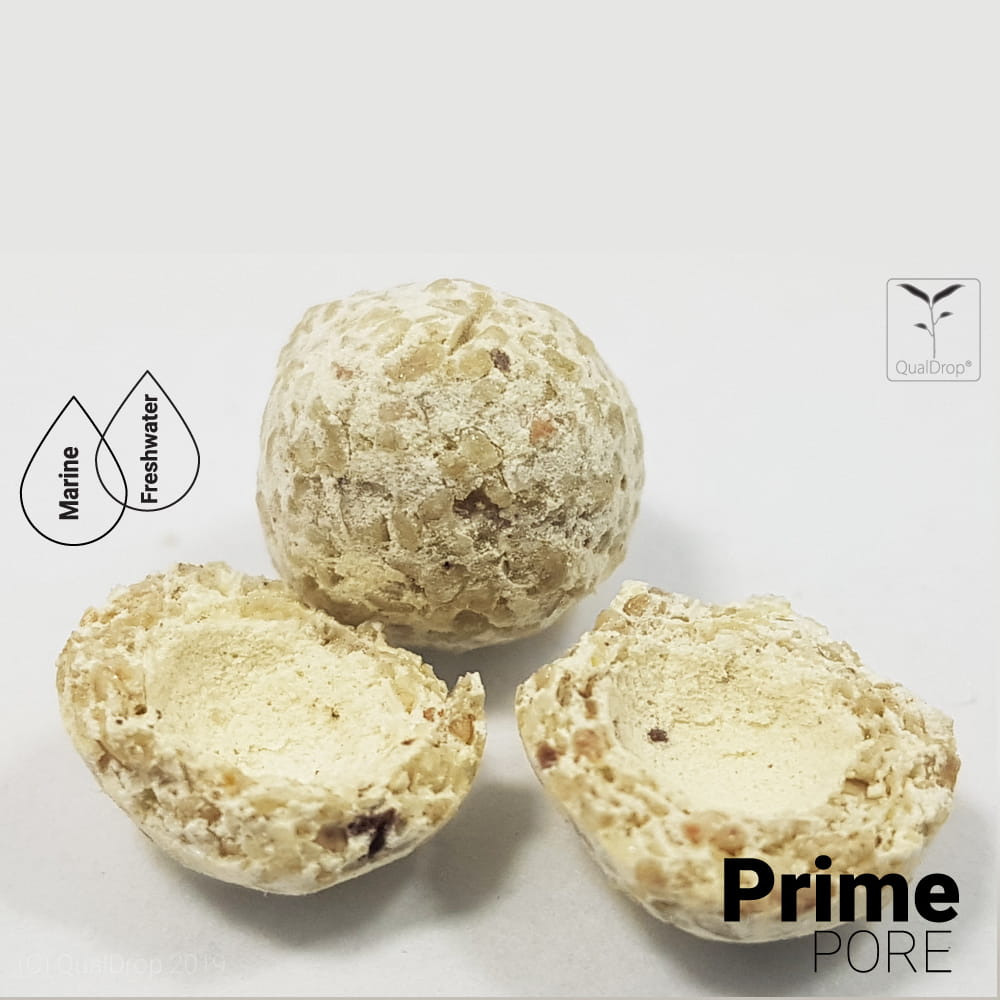 PrimePore_a3.jpg