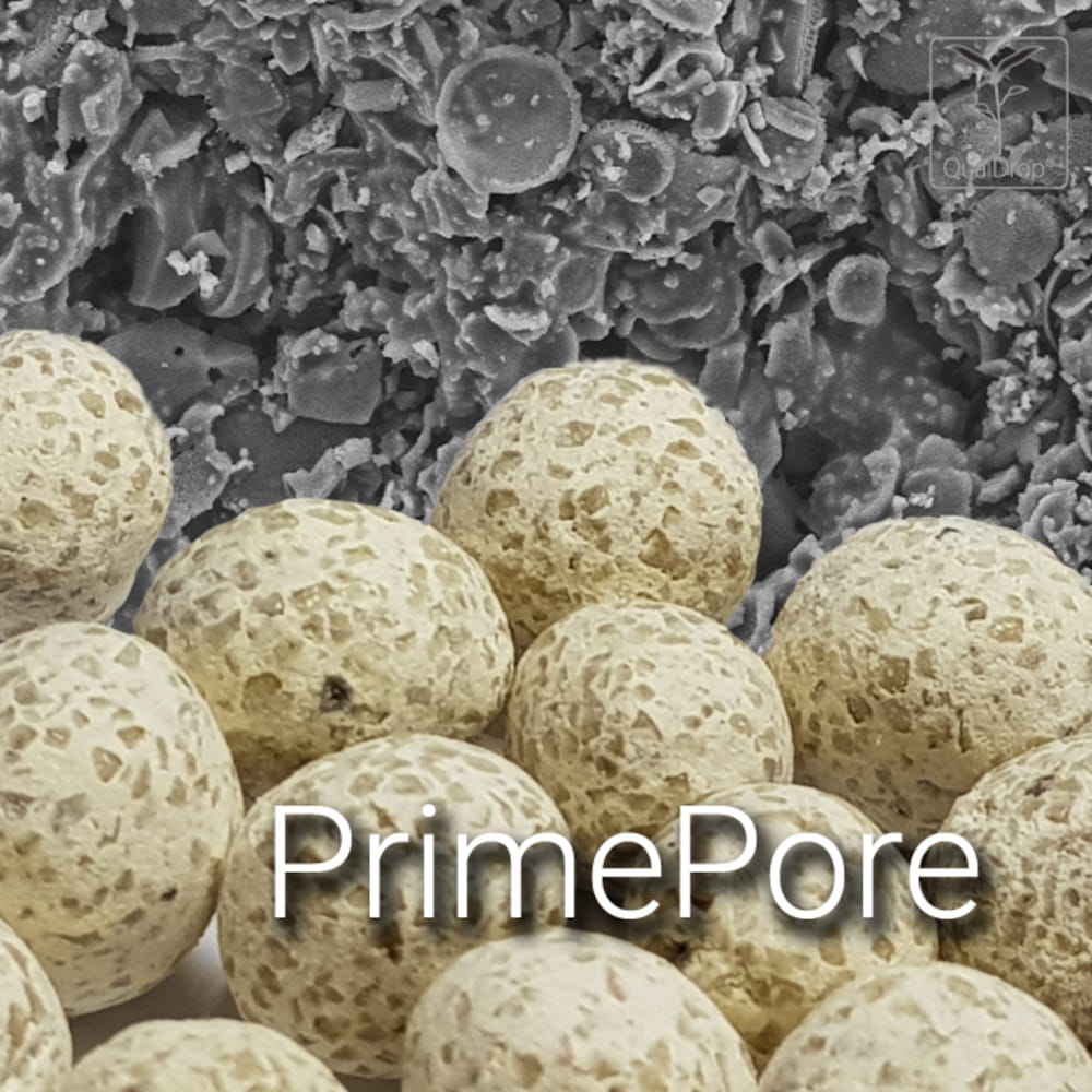 PrimePore_a2.jpg