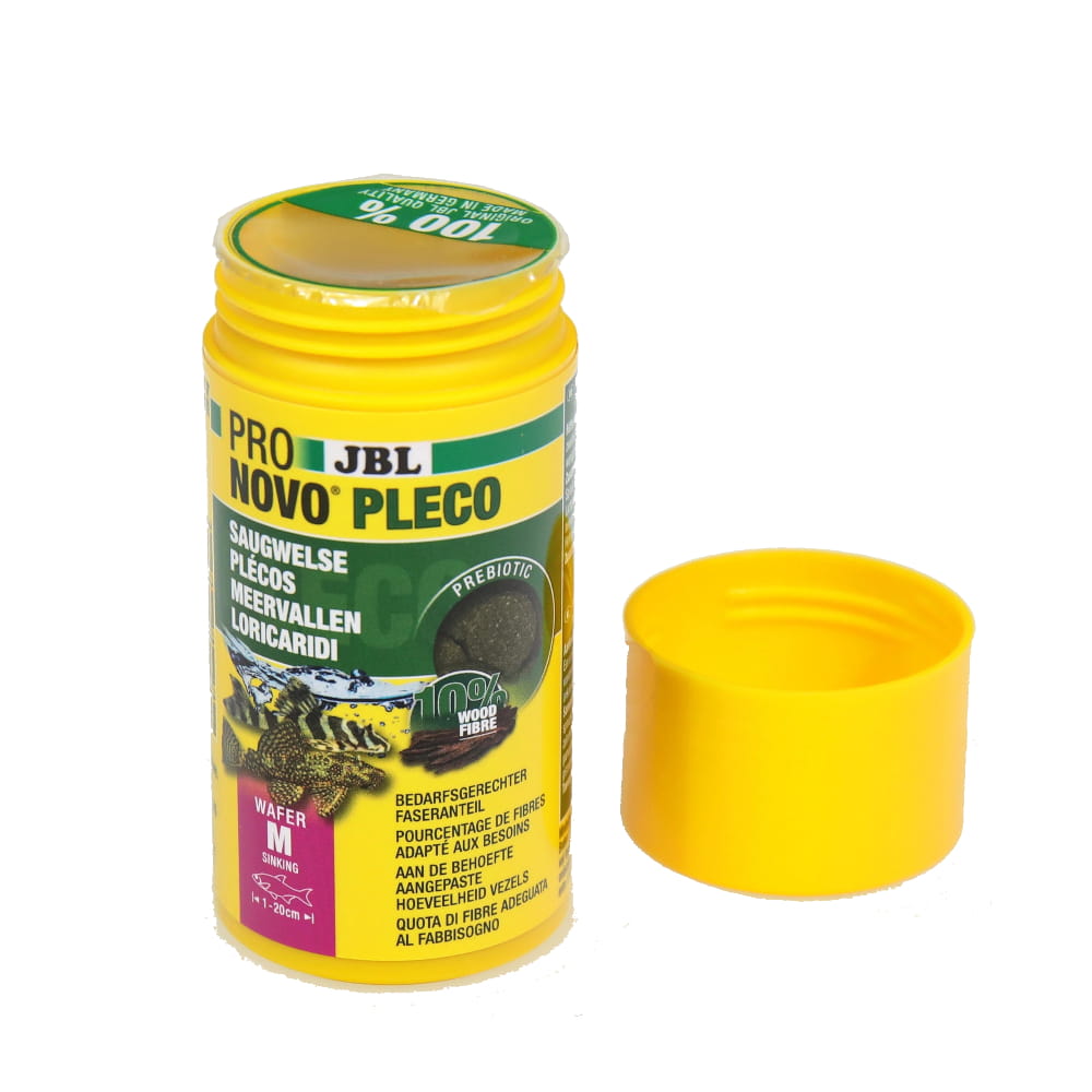 pleco3.jpg