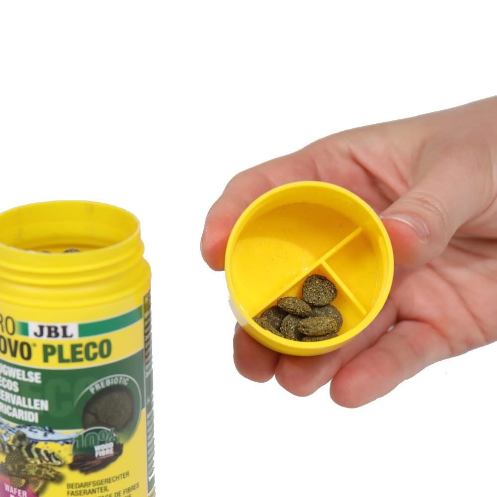 pleco5.jpg