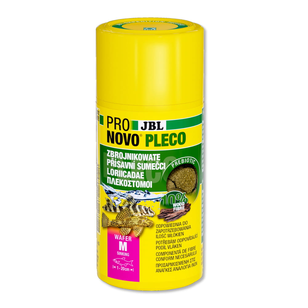 pleco.jpg