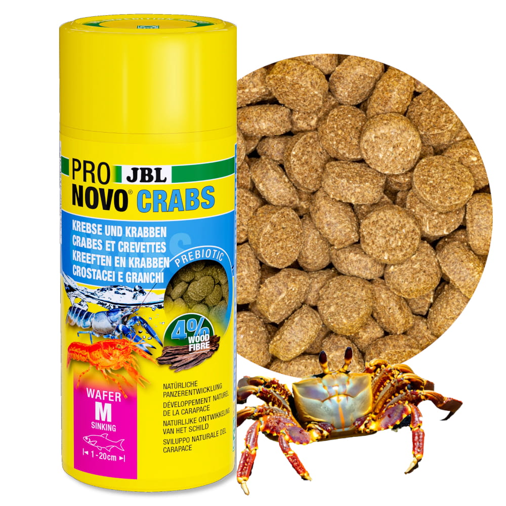 crabs5.jpg