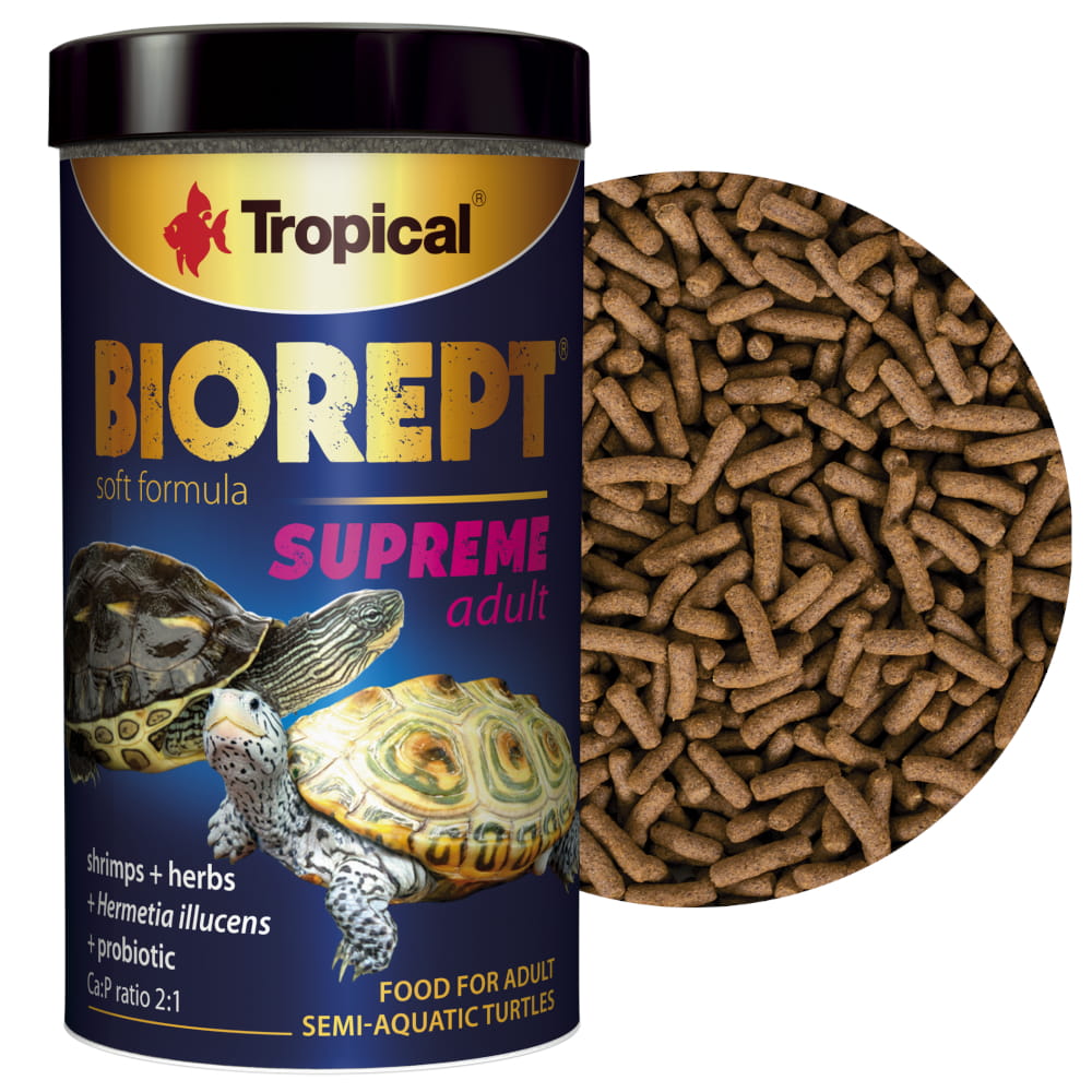 biorept3.jpg