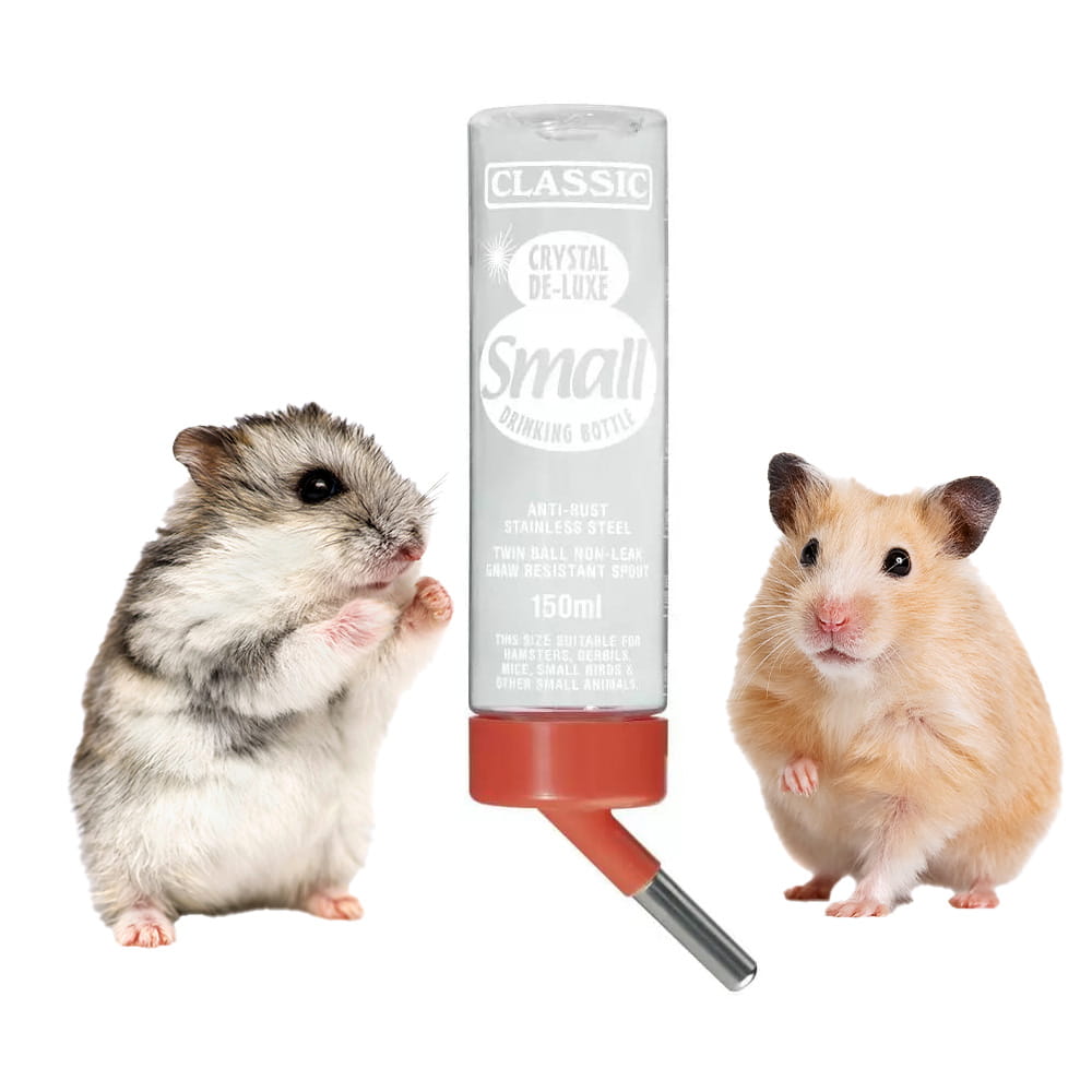 small2.jpg
