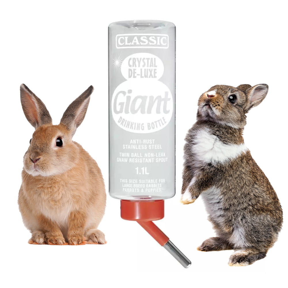 giant2.jpg