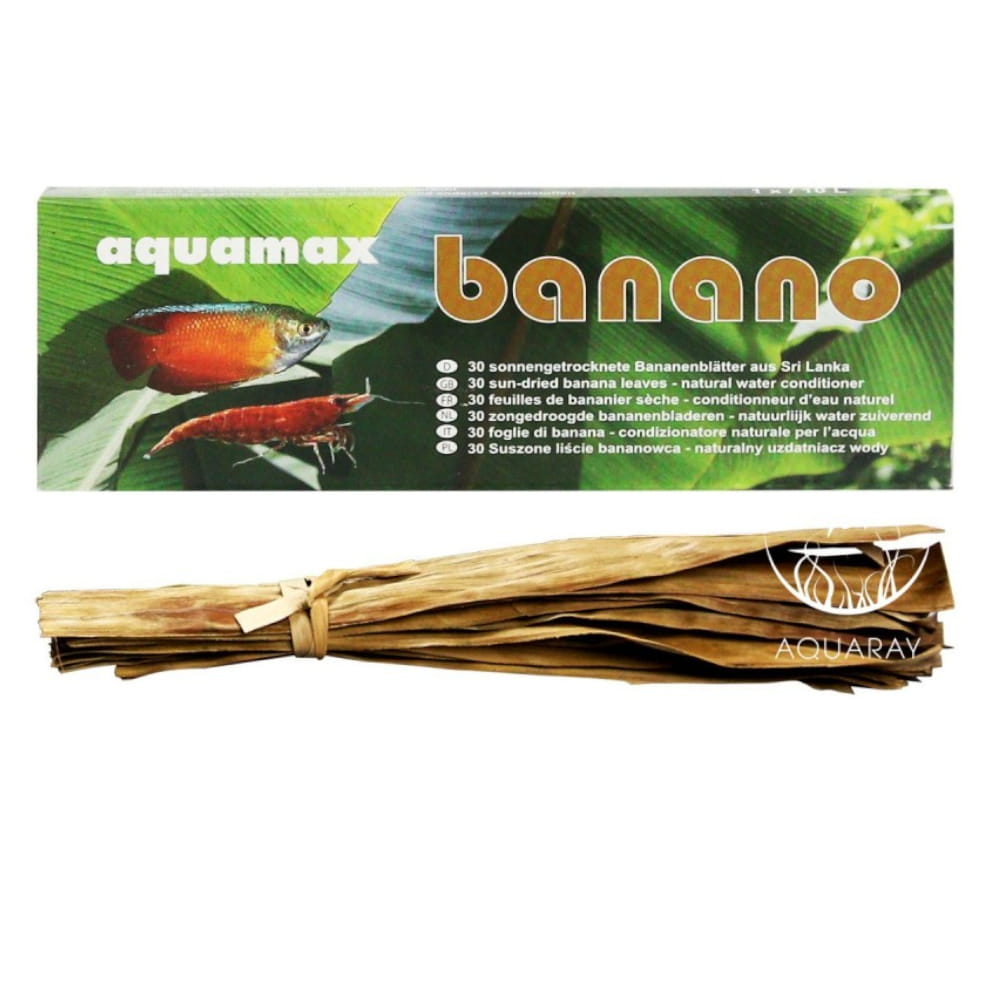 banana.jpg