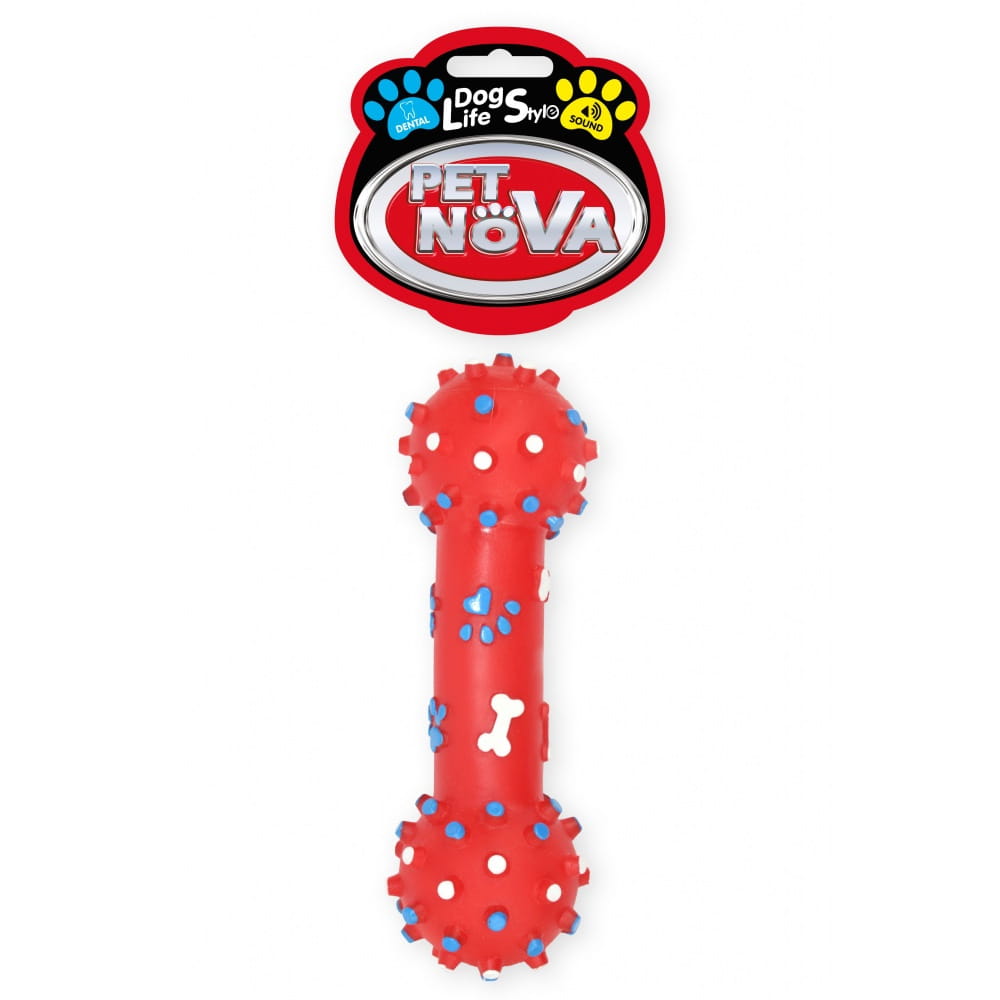 aaa.jpg