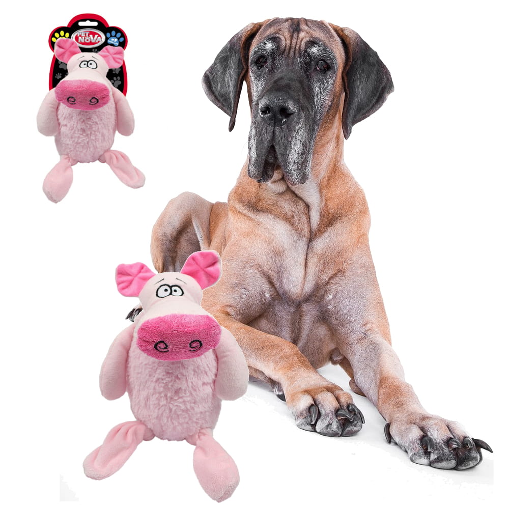 PLU-PIG-LARGE23.jpg