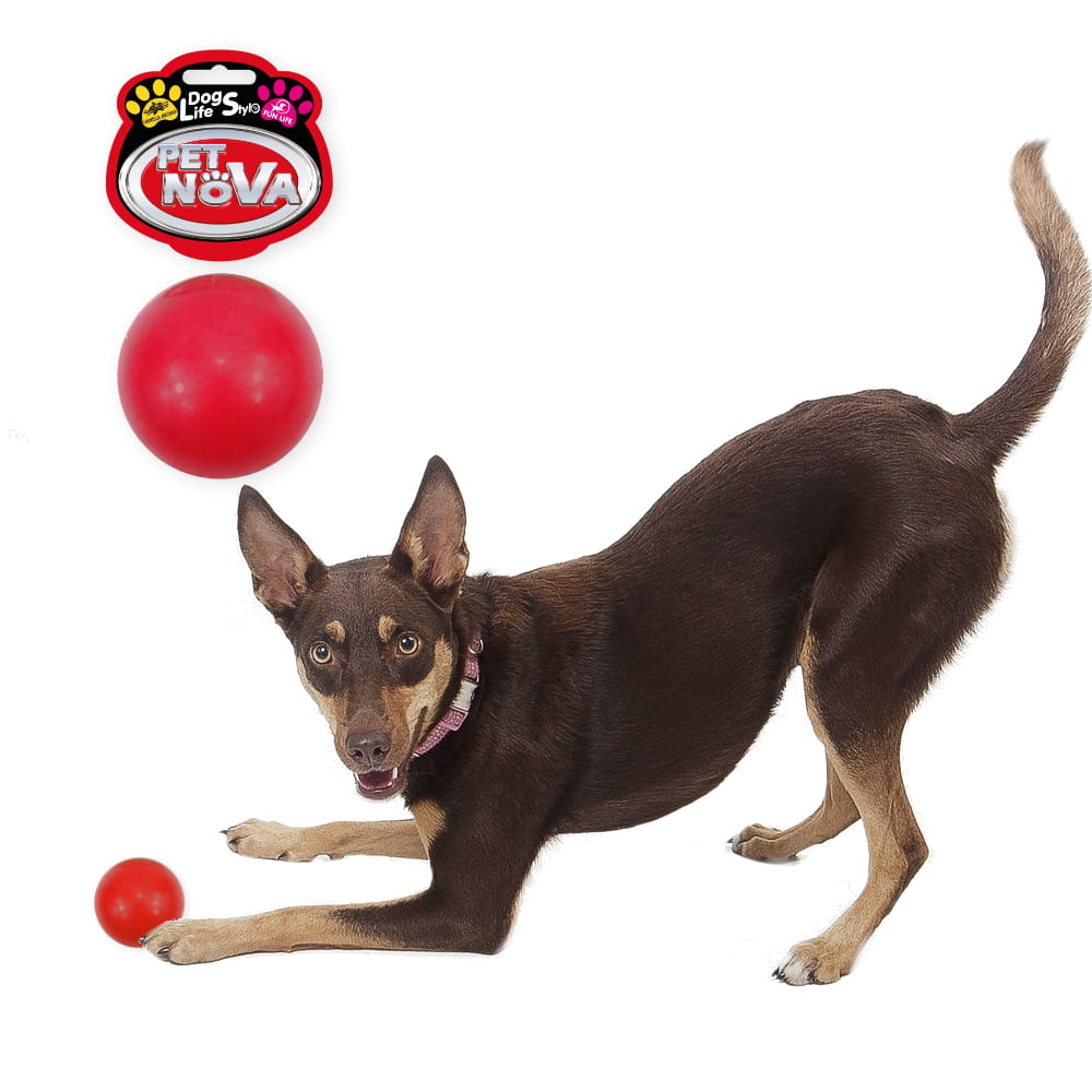 RUB-BALL-S-RED3.jpg