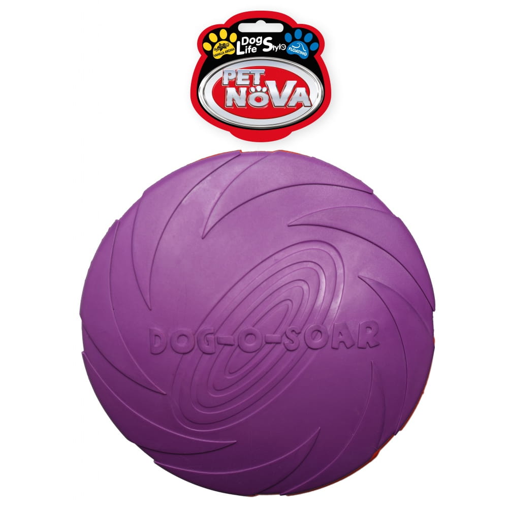 RUB-DISC-VIOLET-22CM.jpg