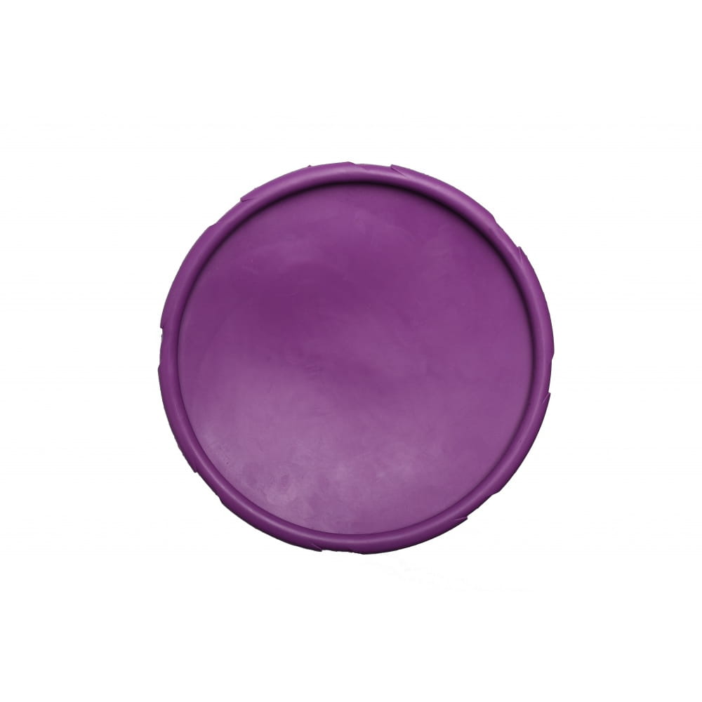 RUB-DISC-VIOLET-22CM3.jpg