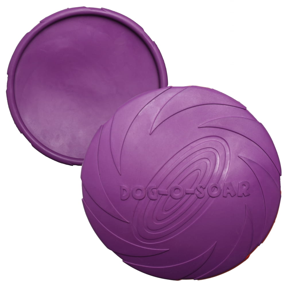 RUB-DISC-VIOLET-22CM4.jpg
