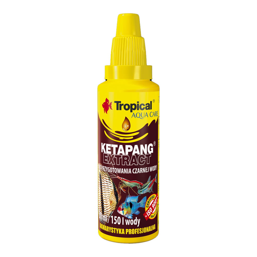 ketapang.jpg
