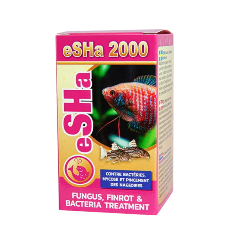 2000.jpg