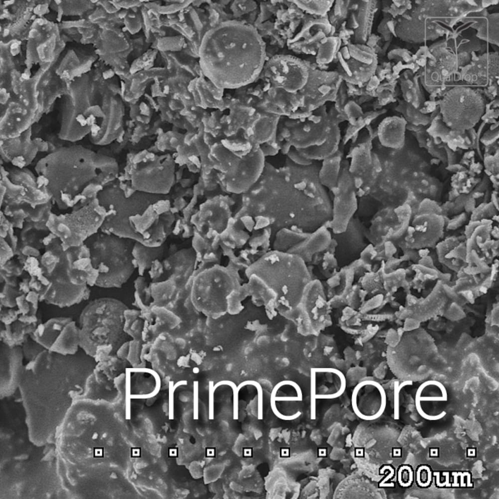 PrimePore_a1.jpg