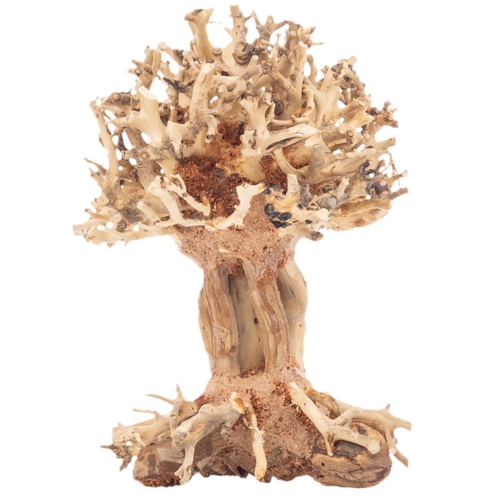 PGDBT7XS1.jpg