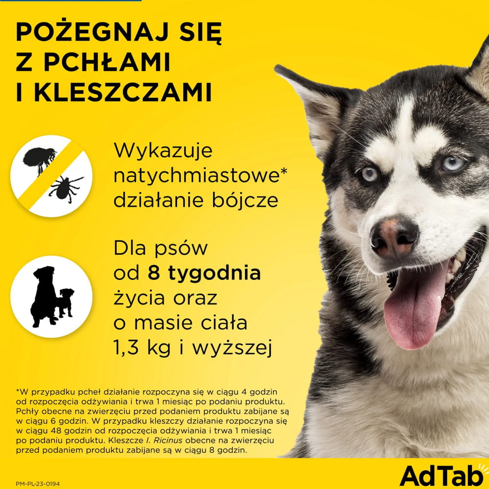 aaaaaa.jpg