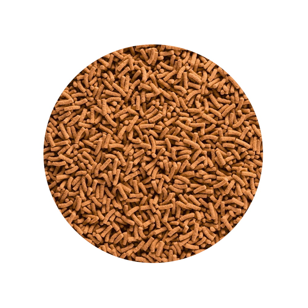 koisticks1.jpg