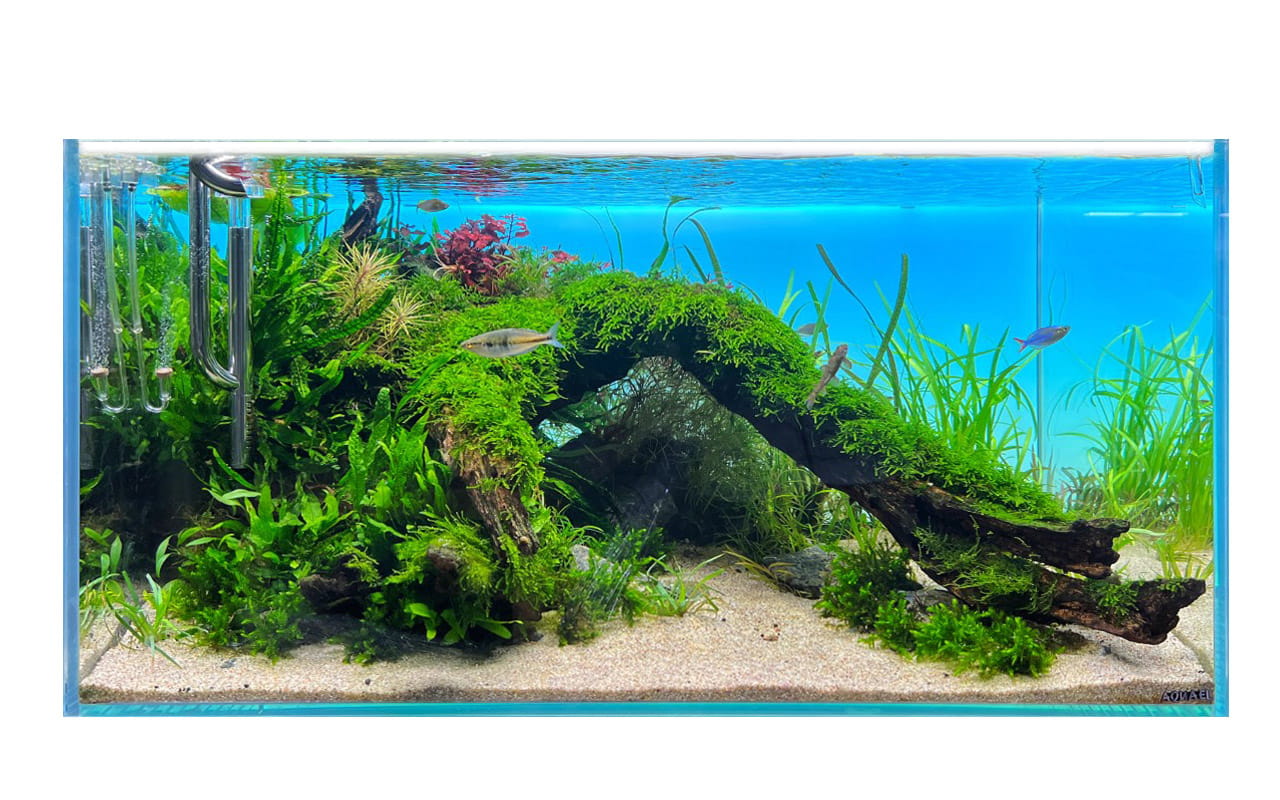 diversa-backlight-2a-rgb_397.jpg