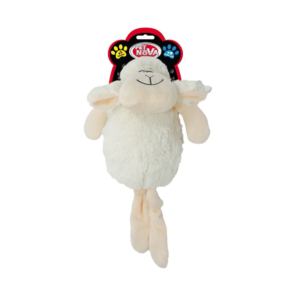 sheep.jpg