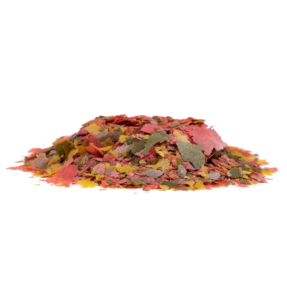ichtio-vit_tropical_wiaderko_l.jpg