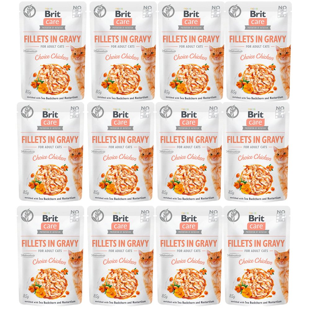 brit-Care-chicken-choice-pouch-mokra-karma-dla-kota.jpg