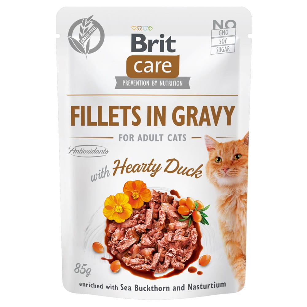 brit-care-fg-hearty-duck-mokra-karma-dla-kota.jpg