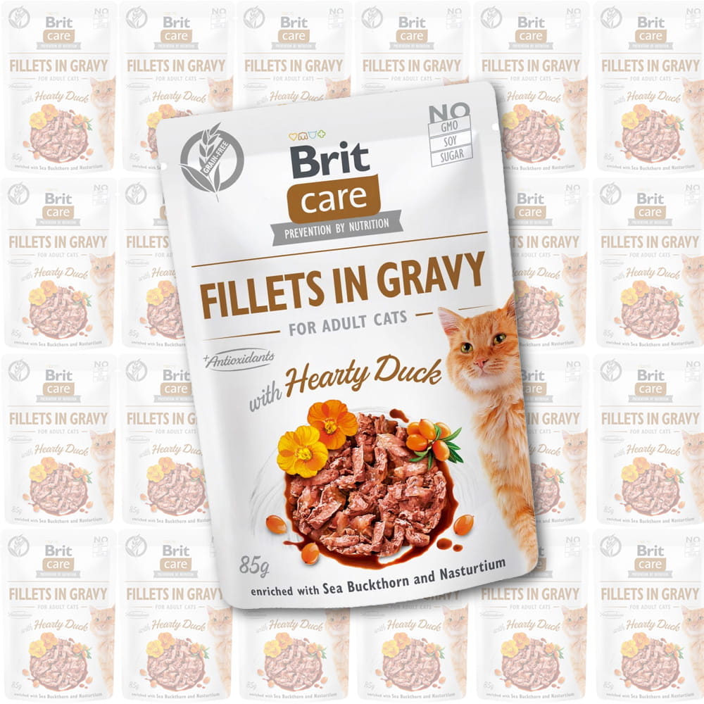 brit-care-fg-hearty-duck-mokra-karma-dla-kota.jpg
