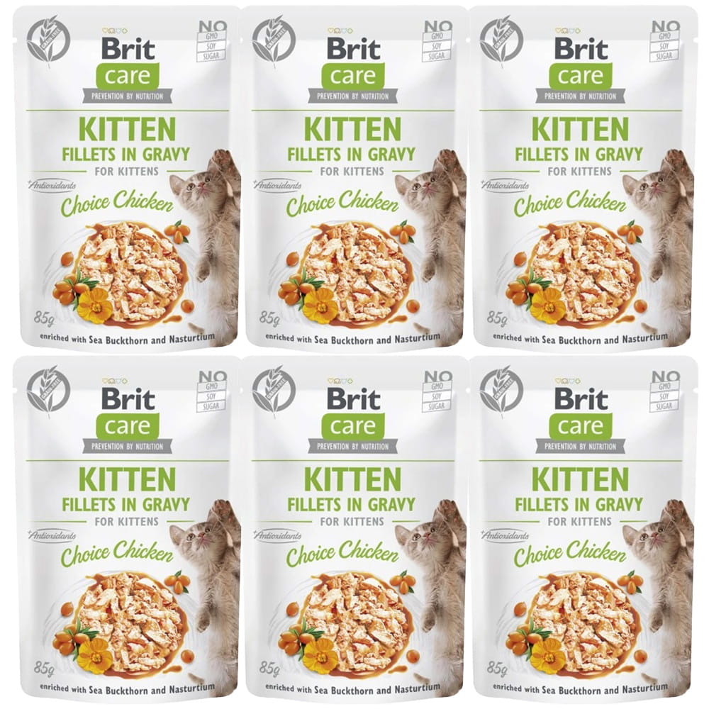 Brit-Care-Cat-Kurczak-dla-kociąt-mokra-karma-dla-kotów.jpg